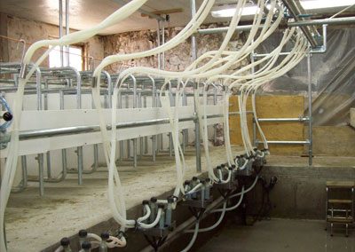 Goat Milking Parlor