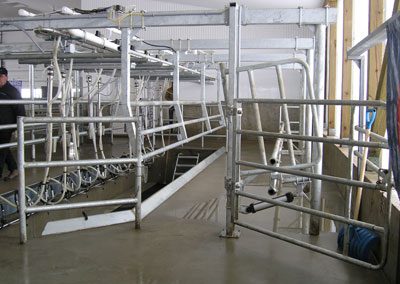 Cattle Milking Parlor