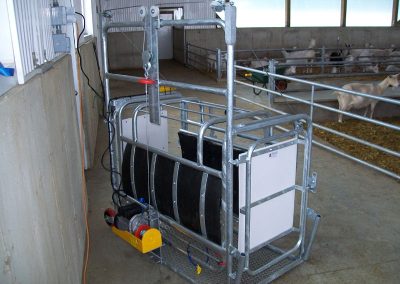 Goat and Sheep Stabling